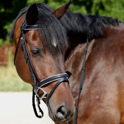 BRIDON MUSEROLLE FRANCAISE...