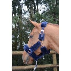 LICOL EQUITHEME AVEC MOUMOUTE