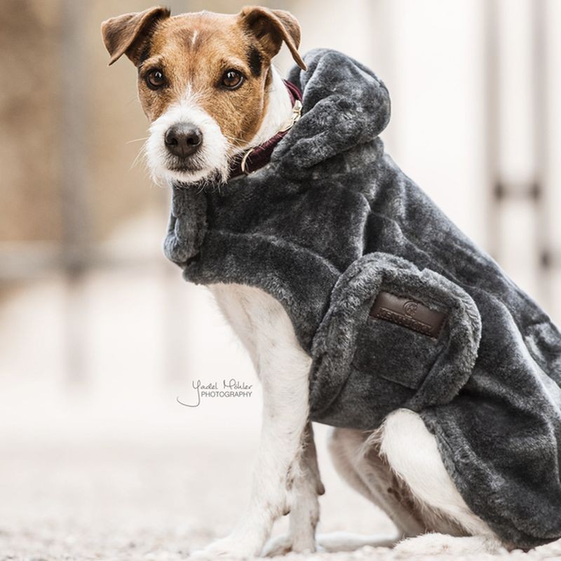 Manteau pour chien Kentucky