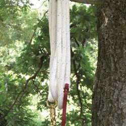 CORDE 3M70  ETHOLOGIQUE