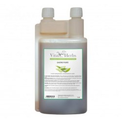 GASTRO FORTE 1 L VITAL HERBS