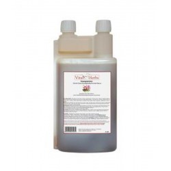 HARPAGOPHYTUM 1 L VITAL HERBS