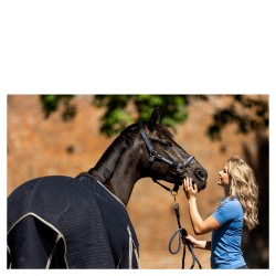 COUVERTURE ANTI MOUCHE BR