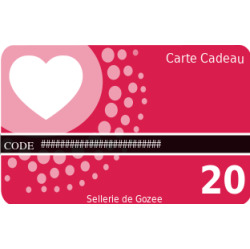Carte cadeau 20
