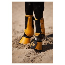 GUETRES DE DRESSAGE "...