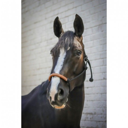 licol &eacute;thologique