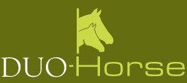 DUO HORSE